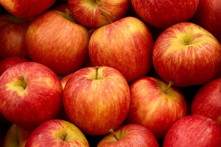 Apple's Private Relay Issue: A Threat to User Privacy