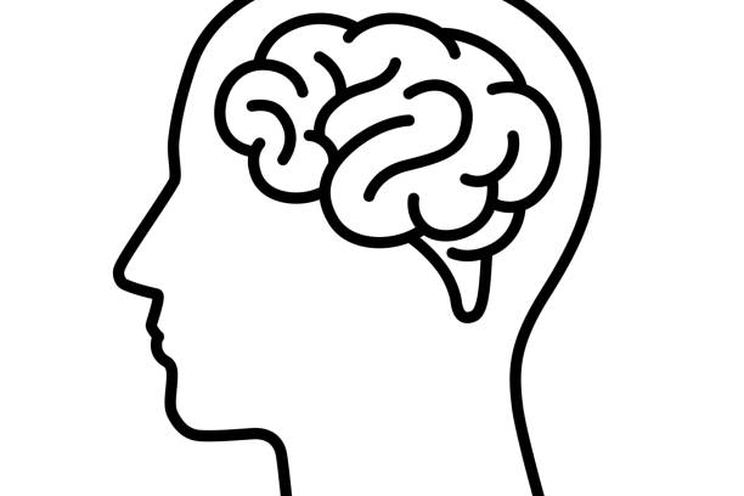 Your brain didn't evolve to be logical — it evolved to keep you alive