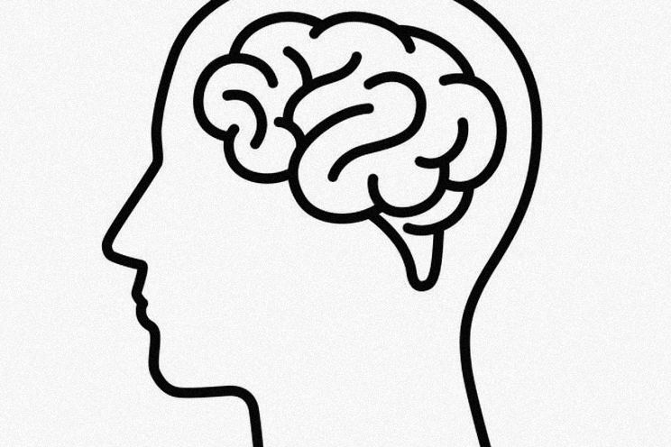 Your brain didn't evolve to be logical — it evolved to keep you alive