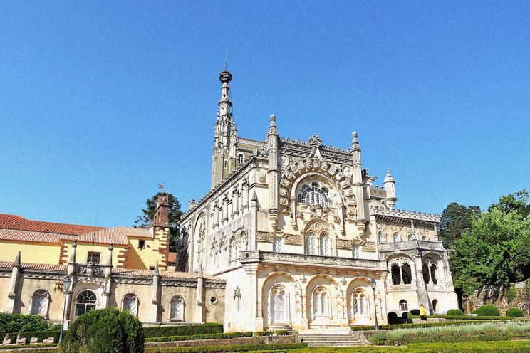 The Therapeutic Forest of Bussaco: A Haven of Tranquility in the Iberian Peninsula