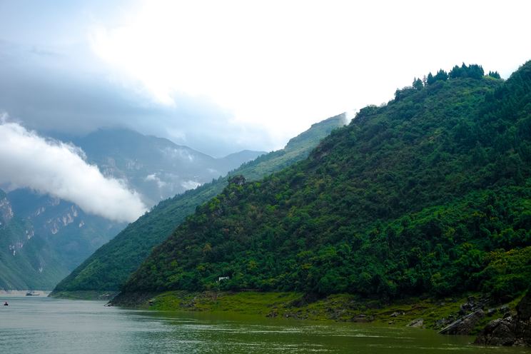 The Yangtze River: a step towards recovery